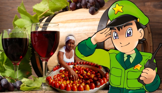 NI VINO NI CHONTADURO