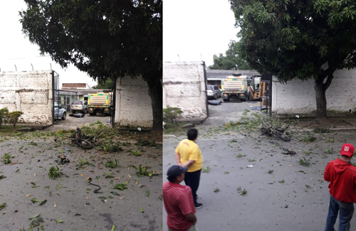 Varios ataques con explosivos se reportaron esta madrugada en Cauca