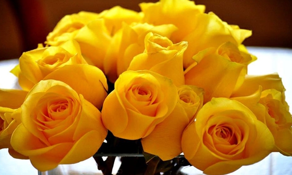 Rosas amarillas para las madres