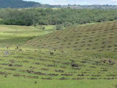 En defensa del norte del Cauca En defensa del norte del Cauca