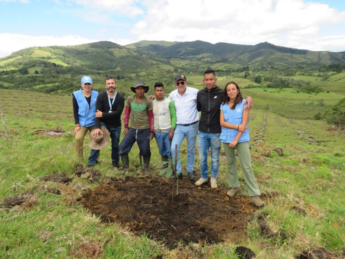 El Aguacate Hass: una muestra de berraquera en Cauca