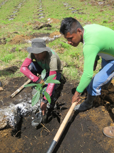 Germán y Henry junto con las personas en proceso de reincorporación trabajan día a día para lograr cumplir el sueño