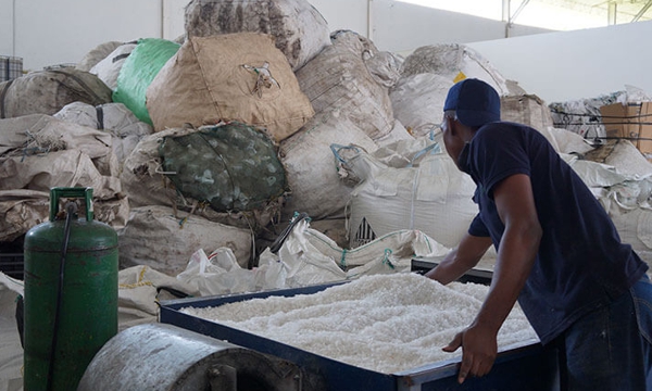 LOS RECICLADORES