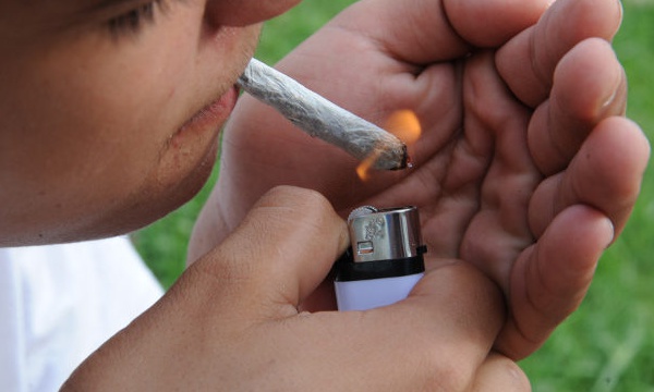 SOLO 238 KILOS DE MARIHUANA HAN DECOMISADO DUQUE Y URIBE CON SU DECRETO ANTIDOSIS