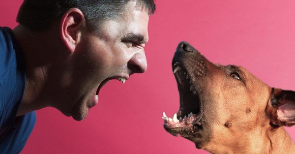 Pobreza - inseguridad y vida de perros Pobreza - inseguridad y vida de perros