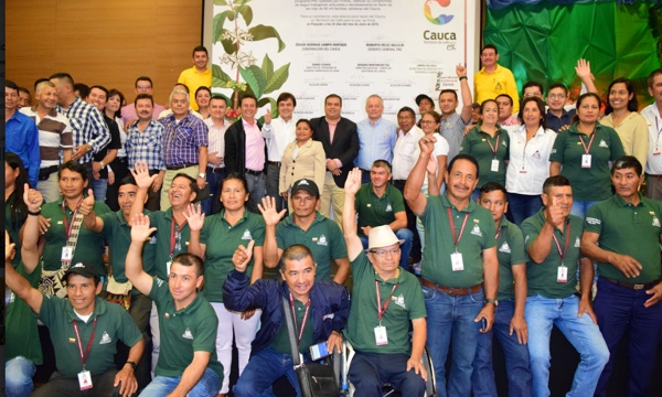 ¿En el Cauca hubo Campo para todos?
