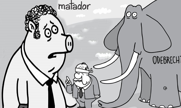 Pasos de animal