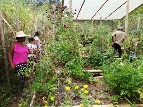 Productores caucanos preservan el suelo