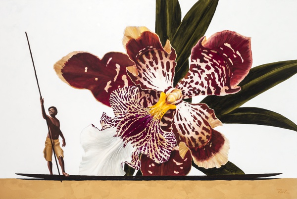 Odontoglossum Harryanum