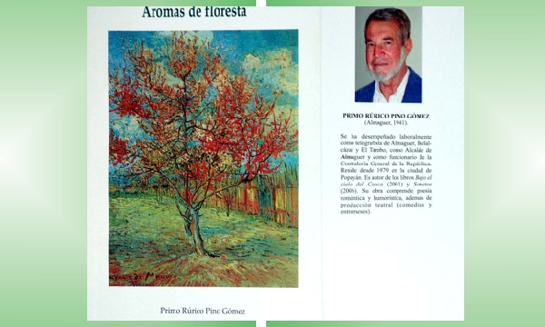 AROMAS DE FLORESTA