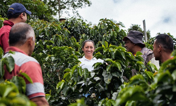 Arraigo y café en la cultura del Cauca