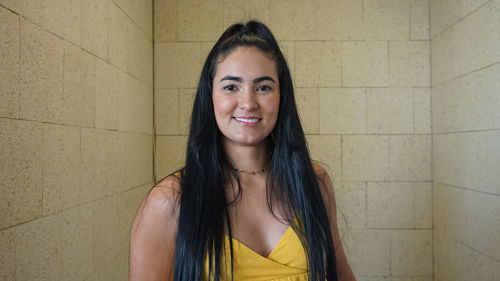 Etnia, niñez y ambiente pilares en las Secretarías de Gestión Social