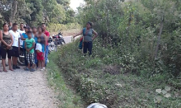 Sigue la mortandad en el Cauca Sigue la mortandad en el Cauca