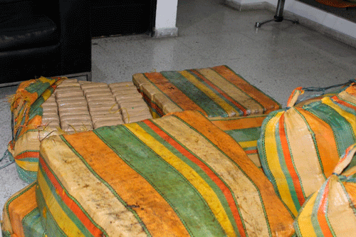 Incautan 740 kilos de marihuana en el Cauca Camuflados incautan 740 kilos de marihuana