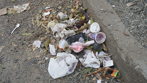 + Conciencia – Basura + Conciencia – Basura