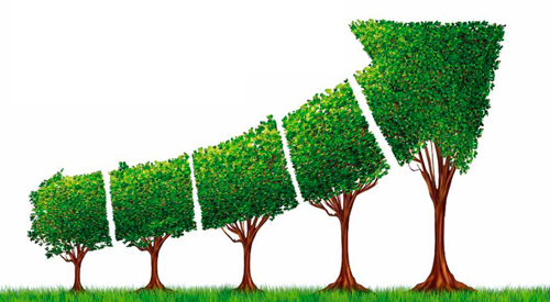 La ecología como eje en los planes de desarrollo La ecología como eje en los planes de desarrollo