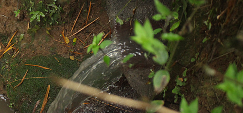 ¡Aguas negras caen al rio Quilichao!
