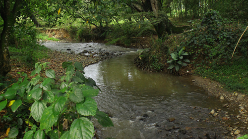 ¡Aguas negras caen al rio Quilichao!