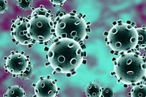 Prueba de olfato para comprobar síntomas de coronavirus