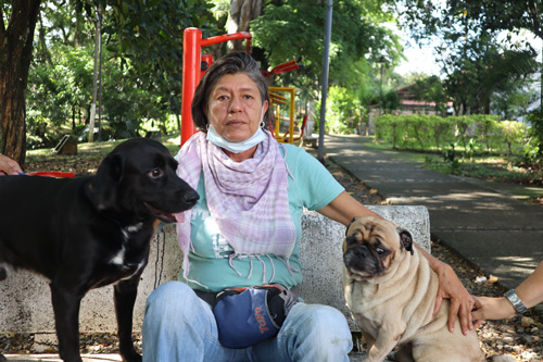 Animales inmunes al Covid-19