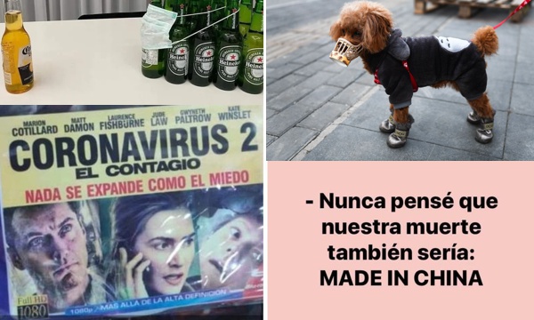 Coronavirus y catalepsia en Popayán