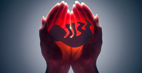 Cuánto cuestan los efectos del negocio abortista