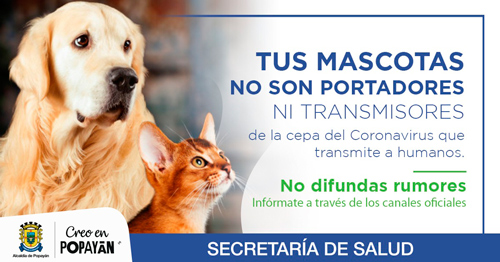 Mascotas no transmiten Coronavirus Mascotas no transmiten Coronavirus