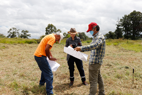 Jóvenes de Popayán lideran Proyecto de Agricultura Urbana de Emergencia