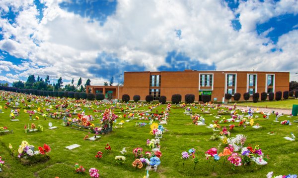 La soledad de la pandemia