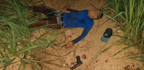 Autoridades dan golpe a grupo delincuencial que azotaba la vía Panamericana