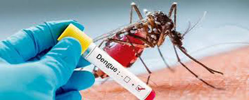 Casos de dengue en el Valle del Cauca han disminuido