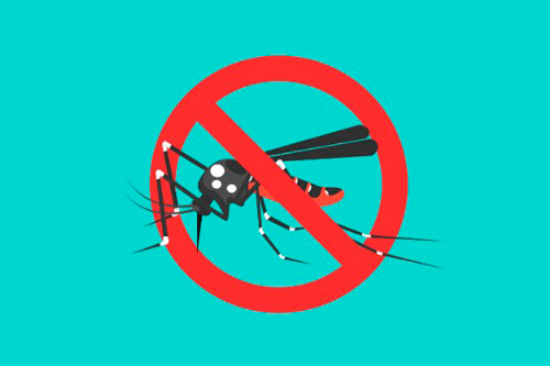 Rompe la transmisión del Dengue