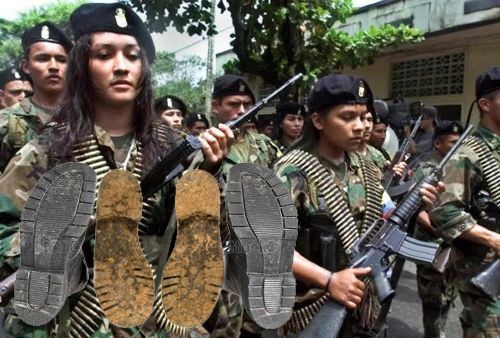 Toma, guerrillera. Más veinte trinos. Toma, guerrillera. Más veinte trinos