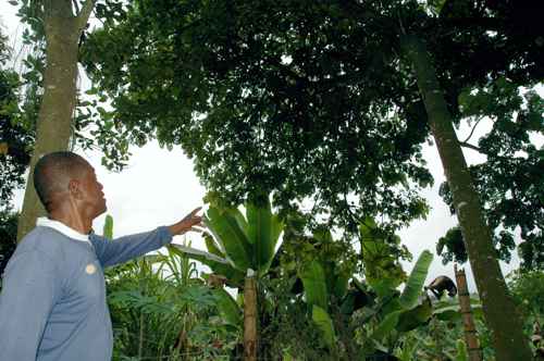 Finca tradicional