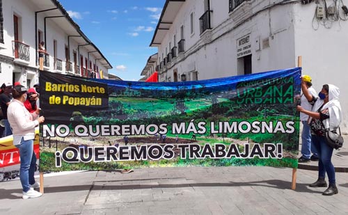 Prosumidores y recicladores nacidos en la pandemia Prosumidores y recicladores nacidos en la pandemia