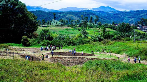 Prosumidores y recicladores nacidos en la pandemia Prosumidores y recicladores nacidos en la pandemia