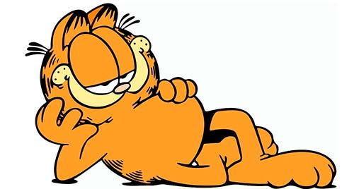 Aún recuerdan a Garfield, un gato feo con 42 años Aún recuerdan a Garfield, un gato feo con 42 años