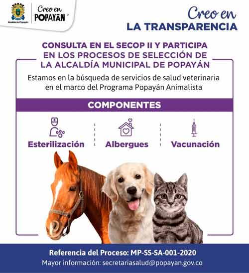 Abierta la convocatoria para proyectos animalistas