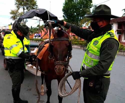 Carretilleros reafirman compromiso de la Alcaldía por el bienestar animal