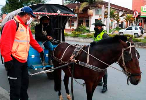 Carretilleros reafirman compromiso de la Alcaldía por el bienestar animal