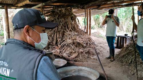 Plan de acción para optimizar la producción de alimentos en veredas occidentales de Popayán