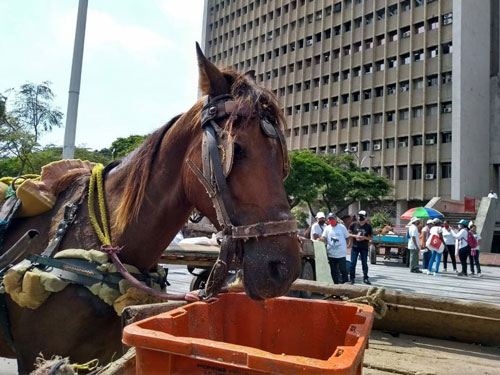 Primeros acuerdos entre la Alcaldía de Cali y Carretilleros