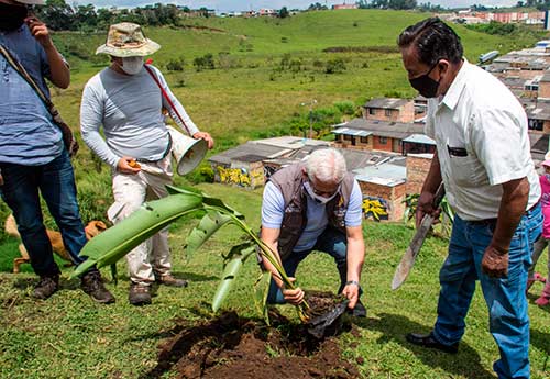 Los niños, principales protagonistas de jornadas de arborización en Calicanto y Los Naranjos Los niños, principales protagonistas de jornadas de arborización en Calicanto y Los Naranjos