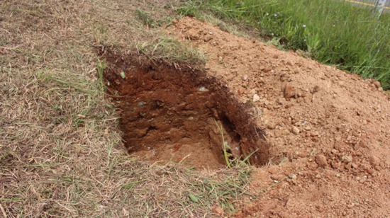 ANI desde Quilichao no permitió que se oxigenara el planeta tierra ANI desde Quilichao no permitió que se oxigenara el planeta tierra