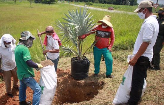 ANI desde Quilichao no permitió que se oxigenara el planeta tierra ANI desde Quilichao no permitió que se oxigenara el planeta tierra