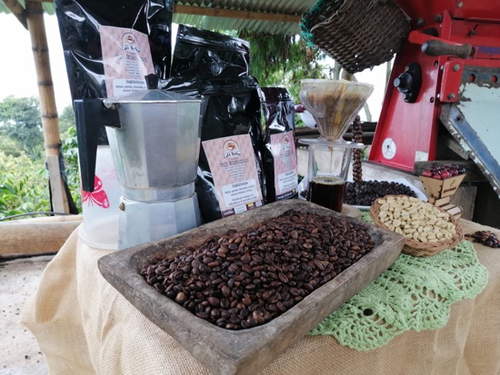 Corinto ahora es tierra de café y paz Corinto ahora es tierra de café y paz