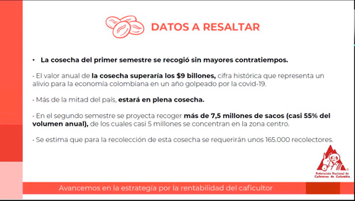 Cafeteros se preparan para el Plan Cosecha Covid-19, II semestre