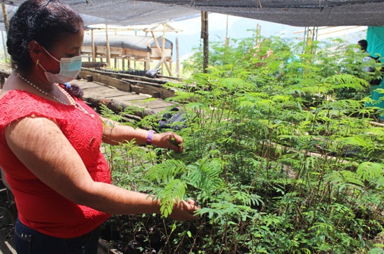 Economía verde - polo de desarrollo en el Cauca Economía verde - polo de desarrollo en el Cauca