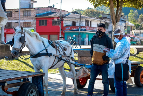 En Popayán se trabaja por mejorar el bienestar animal - Control a equinos En Popayán se trabaja por mejorar el bienestar animal - Control a equinos
