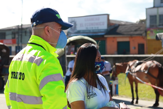 En Popayán se trabaja por mejorar el bienestar animal - Control a equinos En Popayán se trabaja por mejorar el bienestar animal - Control a equinos